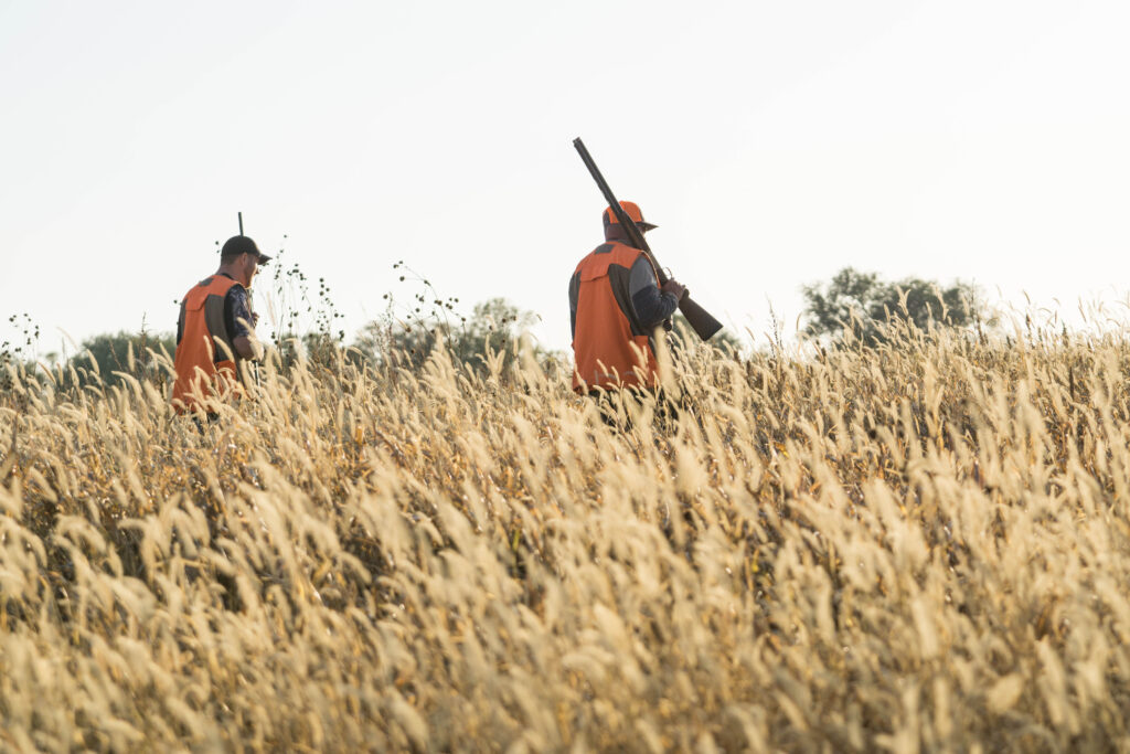Pheasant Hunting Gear Guide Pleasant Valley Hunting Preserve